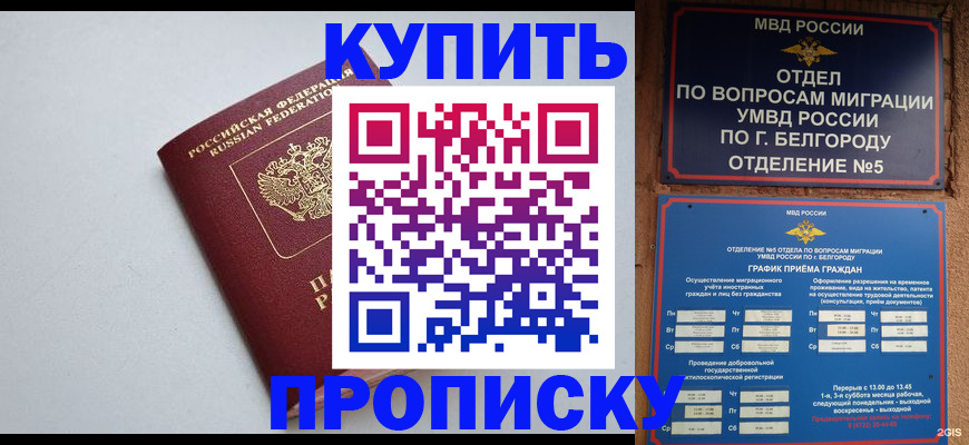 прописка регистрация в Дмитрове